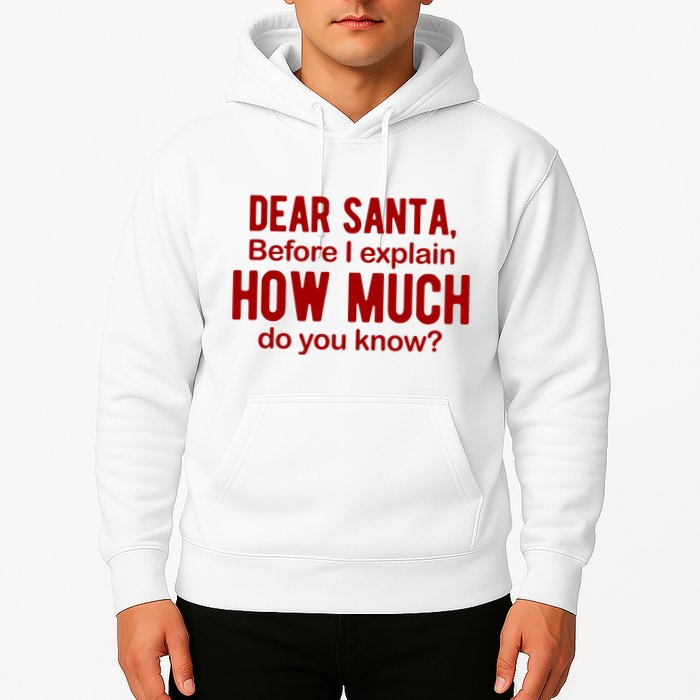 Dear Santa Before I Explain How Much Do You Know Funny Christmas Hoodie