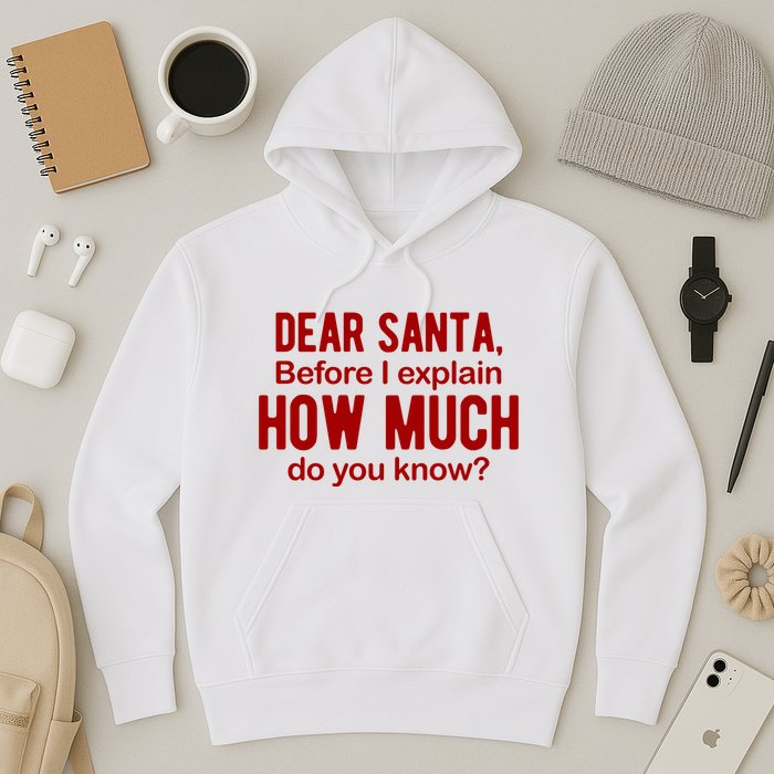Dear Santa Before I Explain How Much Do You Know Funny Christmas Hoodie