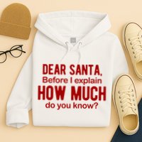 Dear Santa Before I Explain How Much Do You Know Funny Christmas Hoodie