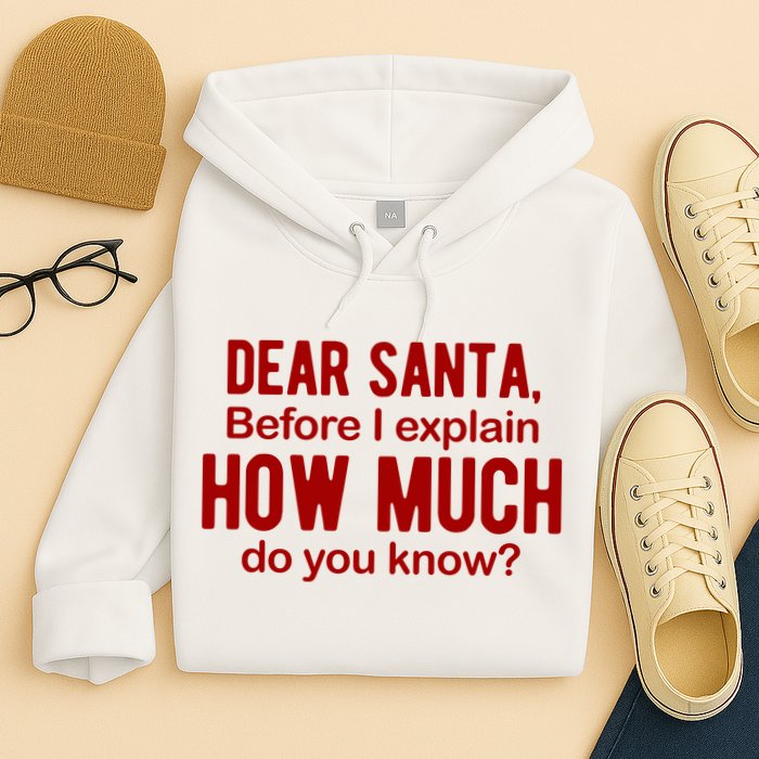 Dear Santa Before I Explain How Much Do You Know Funny Christmas Hoodie