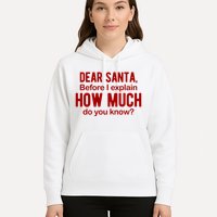 Dear Santa Before I Explain How Much Do You Know Funny Christmas Hoodie
