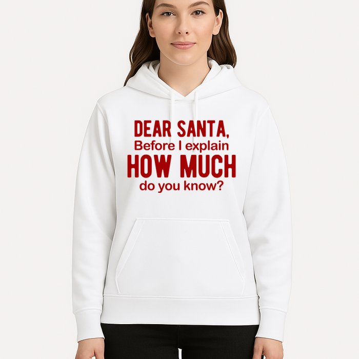 Dear Santa Before I Explain How Much Do You Know Funny Christmas Hoodie
