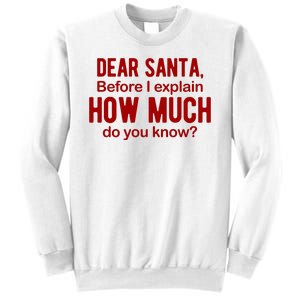 Dear Santa Before I Explain How Much Do You Know Funny Christmas Sweatshirt