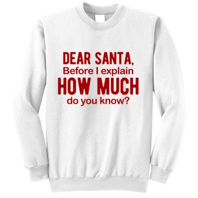 Dear Santa Before I Explain How Much Do You Know Funny Christmas Sweatshirt