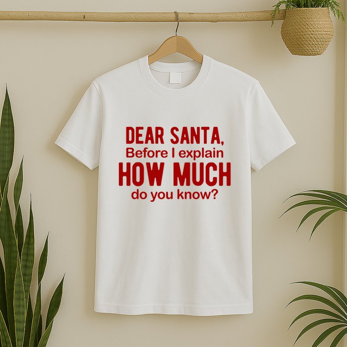 Dear Santa Before I Explain How Much Do You Know Funny Christmas T-Shirt