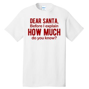 Dear Santa Before I Explain How Much Do You Know Funny Christmas Tall T-Shirt