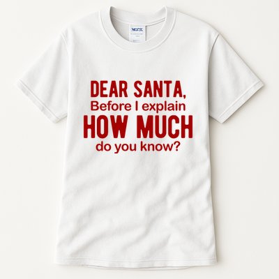 Dear Santa Before I Explain How Much Do You Know Funny Christmas Tall T-Shirt
