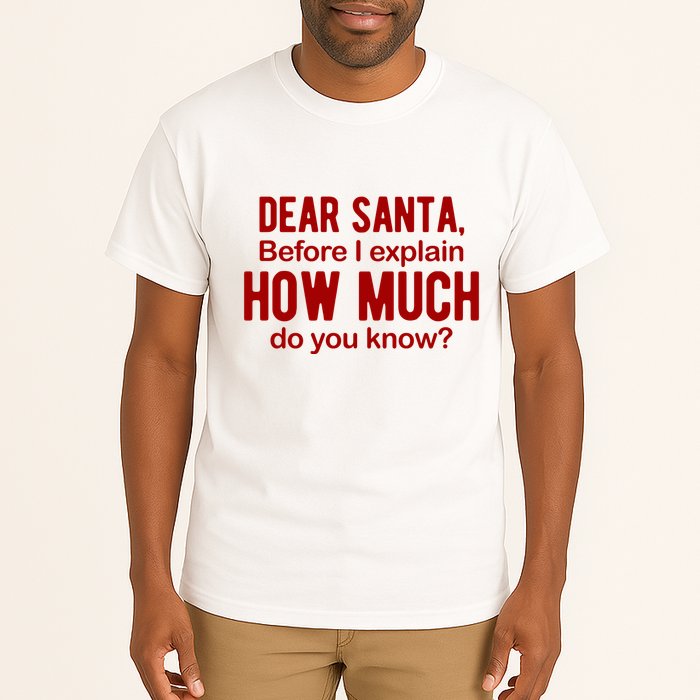 Dear Santa Before I Explain How Much Do You Know Funny Christmas Tall T-Shirt