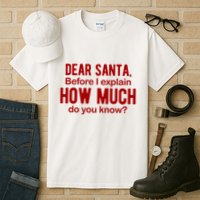 Dear Santa Before I Explain How Much Do You Know Funny Christmas Tall T-Shirt