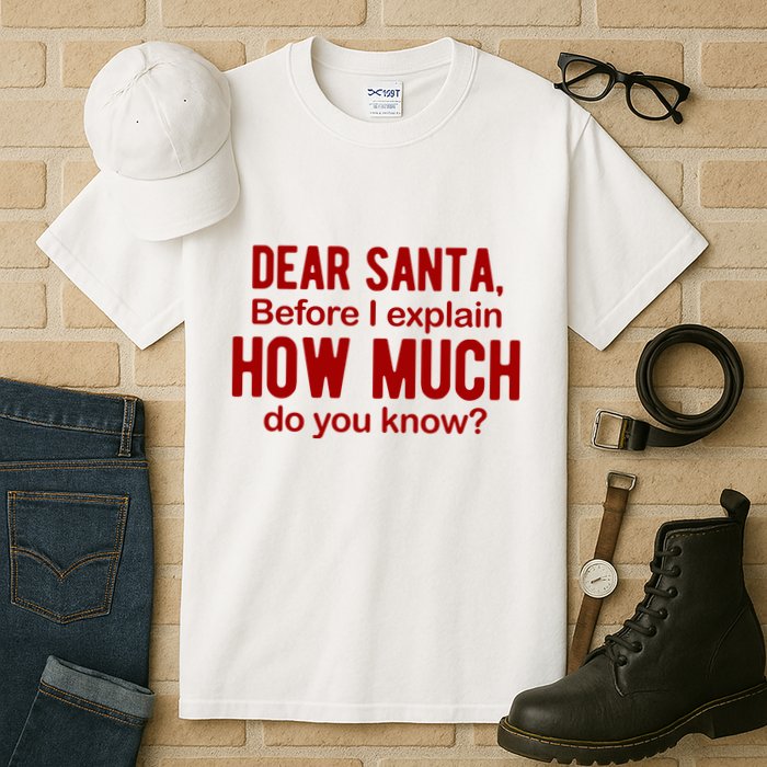 Dear Santa Before I Explain How Much Do You Know Funny Christmas Tall T-Shirt