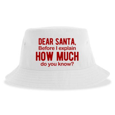 Dear Santa Before I Explain How Much Do You Know Funny Christmas Sustainable Bucket Hat
