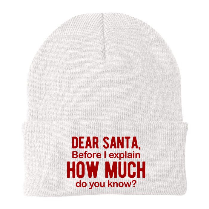 Dear Santa Before I Explain How Much Do You Know Funny Christmas Beanie