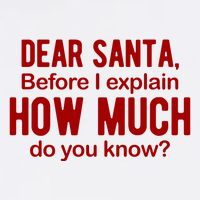 Dear Santa Before I Explain How Much Do You Know Funny Christmas Beanie
