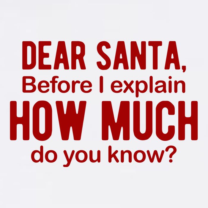 Dear Santa Before I Explain How Much Do You Know Funny Christmas Beanie