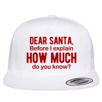 Dear Santa Before I Explain How Much Do You Know Funny Christmas Flat Bill Trucker Hat
