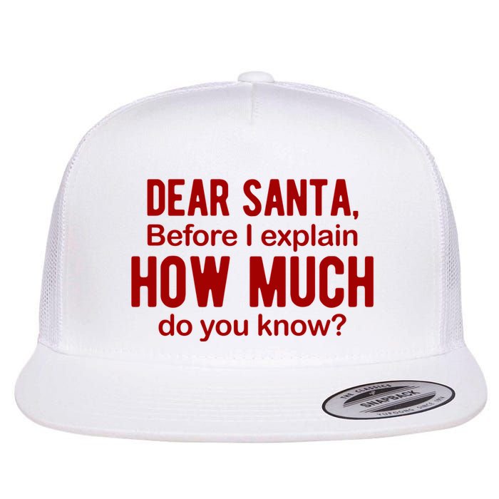 Dear Santa Before I Explain How Much Do You Know Funny Christmas Flat Bill Trucker Hat