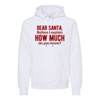 Dear Santa Before I Explain How Much Do You Know Funny Christmas Premium Hoodie