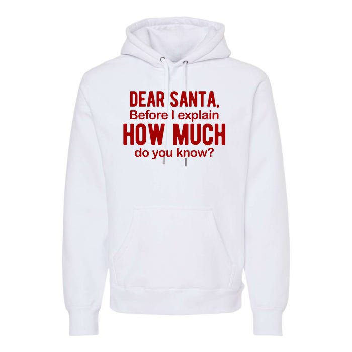 Dear Santa Before I Explain How Much Do You Know Funny Christmas Premium Hoodie