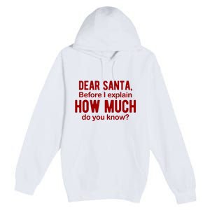 Dear Santa Before I Explain How Much Do You Know Funny Christmas Premium Pullover Hoodie