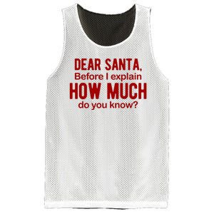 Dear Santa Before I Explain How Much Do You Know Funny Christmas Mesh Reversible Basketball Jersey Tank