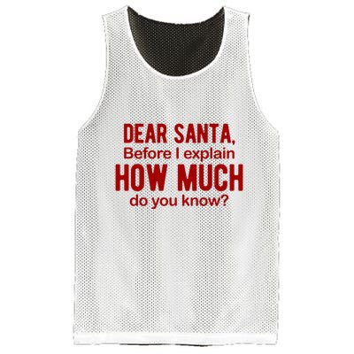 Dear Santa Before I Explain How Much Do You Know Funny Christmas Mesh Reversible Basketball Jersey Tank