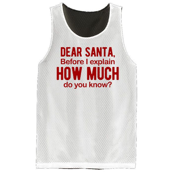 Dear Santa Before I Explain How Much Do You Know Funny Christmas Mesh Reversible Basketball Jersey Tank