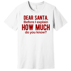 Dear Santa Before I Explain How Much Do You Know Funny Christmas Premium T-Shirt