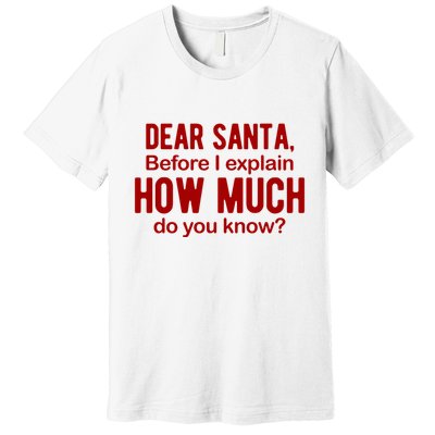 Dear Santa Before I Explain How Much Do You Know Funny Christmas Premium T-Shirt