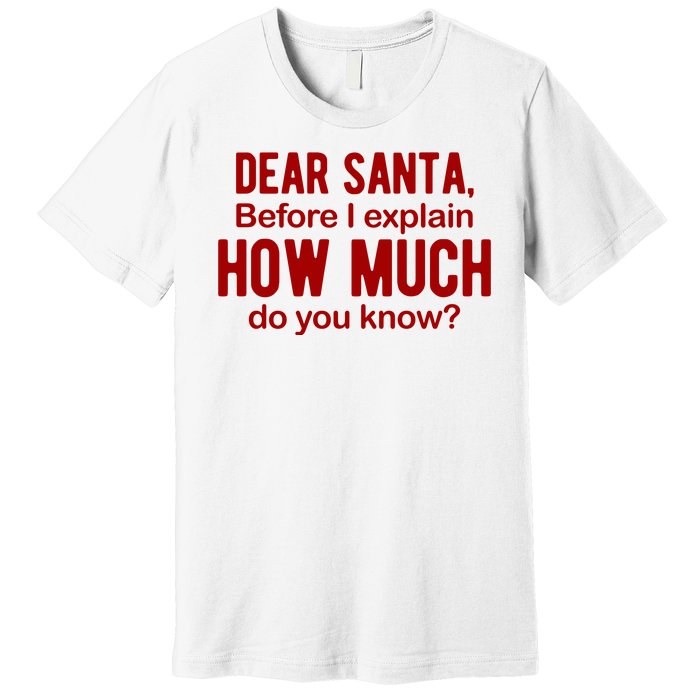 Dear Santa Before I Explain How Much Do You Know Funny Christmas Premium T-Shirt