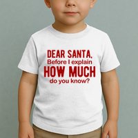 Dear Santa Before I Explain How Much Do You Know Funny Christmas Toddler T-Shirt