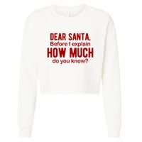 Dear Santa Before I Explain How Much Do You Know Funny Christmas Cropped Pullover Crew