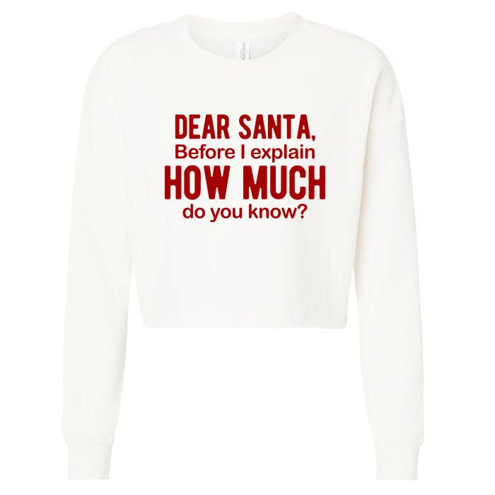 Dear Santa Before I Explain How Much Do You Know Funny Christmas Cropped Pullover Crew