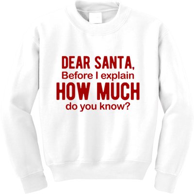 Dear Santa Before I Explain How Much Do You Know Funny Christmas Kids Sweatshirt