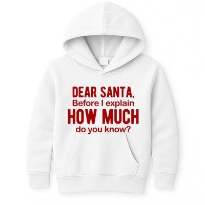 Dear Santa Before I Explain How Much Do You Know Funny Christmas Kids Hoodie