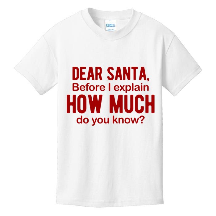 Dear Santa Before I Explain How Much Do You Know Funny Christmas Kids T-Shirt