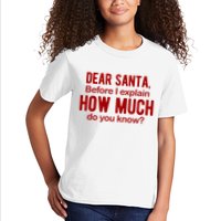 Dear Santa Before I Explain How Much Do You Know Funny Christmas Kids T-Shirt
