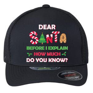 Dear Santa Before I Explain How Much Do You Know Christmas Flexfit Unipanel Trucker Cap