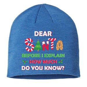 Dear Santa Before I Explain How Much Do You Know Christmas Sustainable Beanie