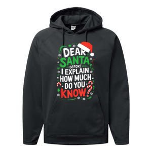 Dear Santa Before I Explain How Much Do You Know Xmas Performance Fleece Hoodie