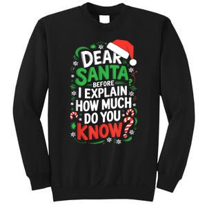 Dear Santa Before I Explain How Much Do You Know Xmas Sweatshirt