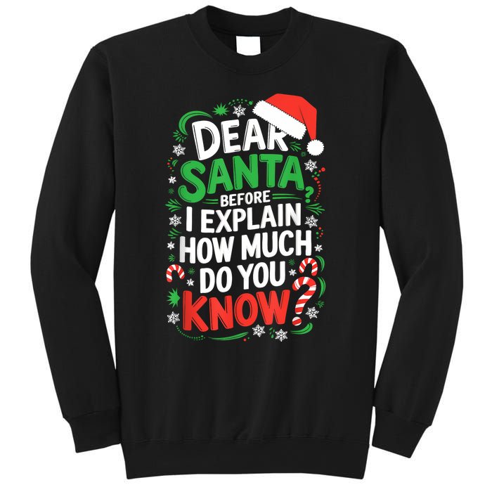 Dear Santa Before I Explain How Much Do You Know Xmas Sweatshirt