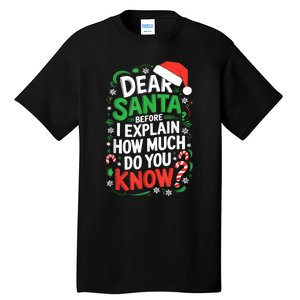 Dear Santa Before I Explain How Much Do You Know Xmas Tall T-Shirt