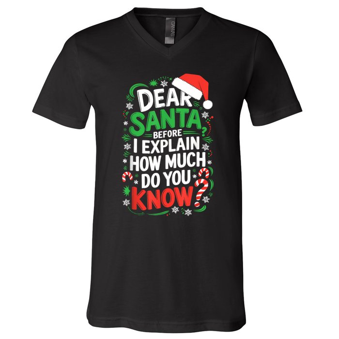 Dear Santa Before I Explain How Much Do You Know Xmas V-Neck T-Shirt