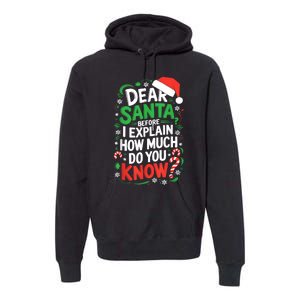 Dear Santa Before I Explain How Much Do You Know Xmas Premium Hoodie