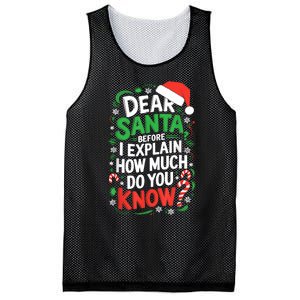 Dear Santa Before I Explain How Much Do You Know Xmas Mesh Reversible Basketball Jersey Tank