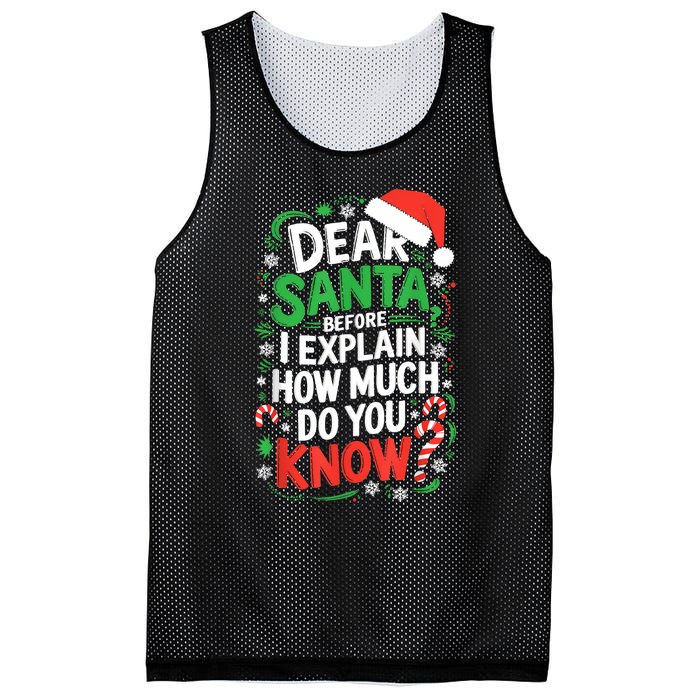 Dear Santa Before I Explain How Much Do You Know Xmas Mesh Reversible Basketball Jersey Tank