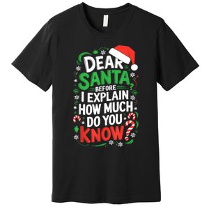 Dear Santa Before I Explain How Much Do You Know Xmas Premium T-Shirt