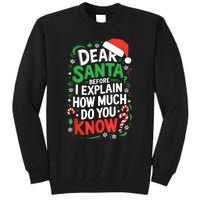 Dear Santa Before I Explain How Much Do You Know Xmas Tall Sweatshirt