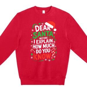 Dear Santa Before I Explain How Much Do You Know Xmas Premium Crewneck Sweatshirt