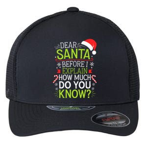 Dear Santa Before I Explain How Much Do You Know Xmas Flexfit Unipanel Trucker Cap